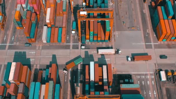 Hong Kong Mai 2018 Luftaufnahme Eines Modernen Hafencontainerterminals Import Und — Stockvideo