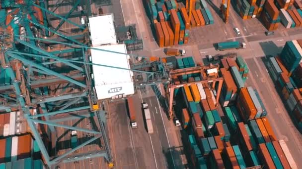 Hong Kong Maggio 2018 Veduta Aerea Moderno Porto Container Terminal — Video Stock