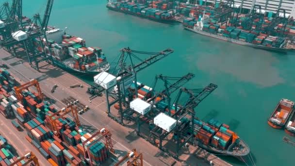 Hong Kong Mai 2018 Luftaufnahme Eines Modernen Hafencontainerterminals Import Und — Stockvideo