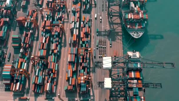 Гонконг Мая 2018 Года Воздушный Вид Современного Контейнерного Терминала Порта — стоковое видео