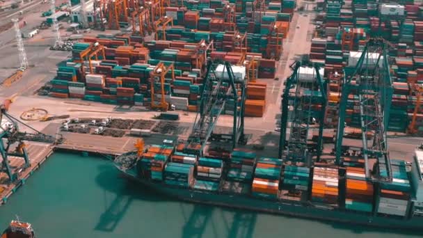 Hong Kong Mai 2018 Luftaufnahme Eines Modernen Hafencontainerterminals Import Und — Stockvideo