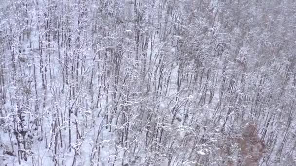 ゴーリキー キタイガロド スキーやスノーボード リゾート ソチは ロシアのコーカサス山脈の空中風景を見る 大雪の後の冬の森 で撮影ドローン — ストック動画