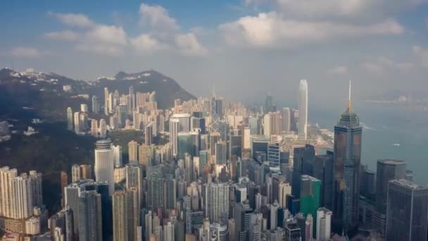 Hong Kong - Mayıs 2018: Causeway Bay ve Victoria Körfezi, konut ve ofis binaları ve gökdelenler havadan görünümü. — Stok video