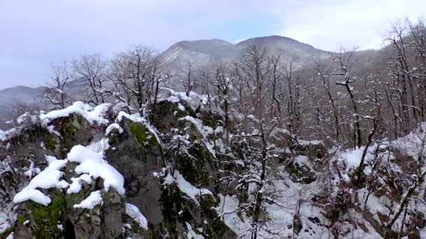 Krajobraz z lotu ptaka widok gór Kaukazu w Gorky Gorod, Sochi, Federacja Rosyjska. Drzew i skał, pokryte śniegiem. — Wideo stockowe