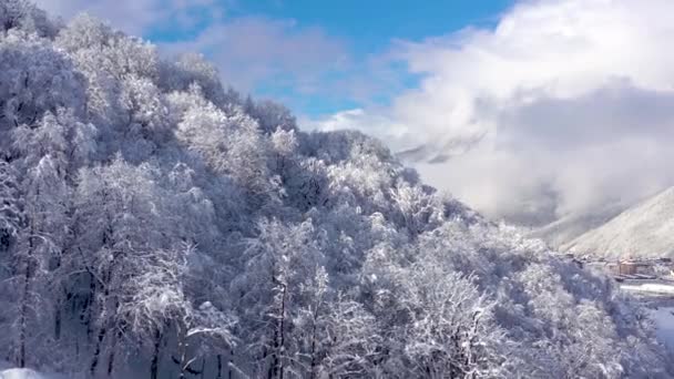 고르 키 Gorod, 소 치, 러시아의 코 카 서 스 산맥의 공중 조 경 전망. 나무와 바위는 눈으로 덮여. — 비디오