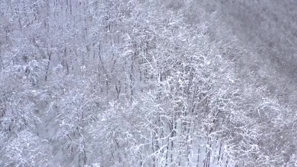 Vista aérea del paisaje de las montañas del Cáucaso en Gorki Gorod, Sochi, Rusia. Árboles y rocas cubiertos de nieve . — Vídeo de stock