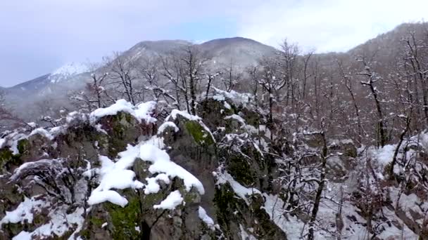 Vista aérea del paisaje de las montañas del Cáucaso en Gorki Gorod, Sochi, Rusia. Árboles y rocas cubiertos de nieve . — Vídeo de stock