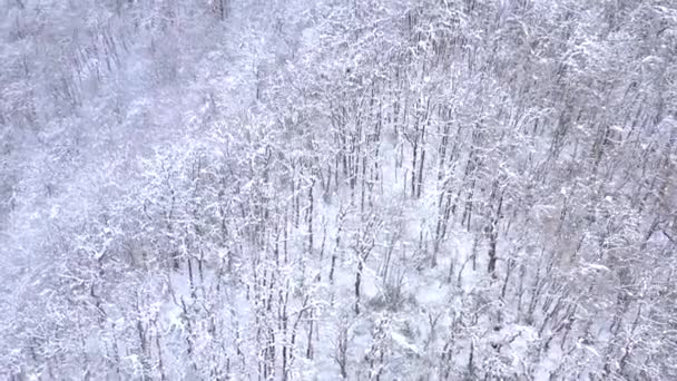 Vista aérea da paisagem das montanhas do Cáucaso em Gorky Gorod, Sochi, Rússia. Árvores e rochas cobertas de neve . — Vídeo de Stock