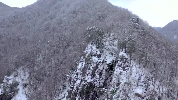 Aerial liggande vy över Kaukasus bergen i Gorkij Gorod, Sochi, Ryssland. Träd och stenar täckta med snö. — Stockvideo