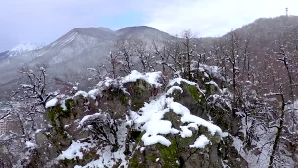 ゴーリキー キタイガロド、ソチは、ロシアのコーカサス山脈の空中風景を見る。木々 や雪で覆われた岩. — ストック動画