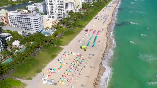 Miami Florida Usa Stycznia 2019 Aerial Drone Panorama Widok Lotu — Wideo stockowe