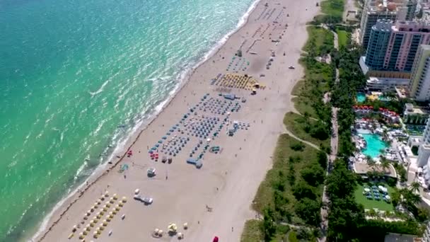 Miami Florida Usa Gennaio 2019 Volo Panoramico Con Drone Aereo — Video Stock