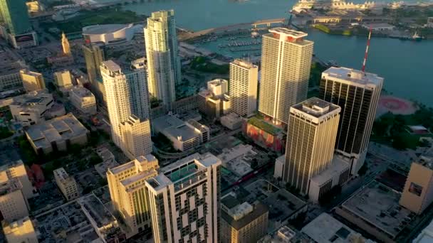 Vista Aérea Edificios Miami Durante Puesta Del Sol — Vídeos de Stock