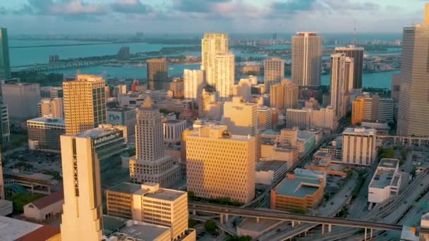 Miami Florida Abd Ocak 2019 Güneşli Bir Günde Miami Beach — Stok video