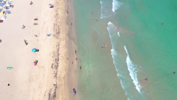 Miami Florida Verenigde Staten Januari 2019 Luchtfoto Drone Panorama Uitzicht — Stockvideo