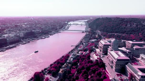 ブダペスト、ハンガリー - 2019年5月:美しい建築とブダペスト市の歴史的中心部の空中ドローンビュー. — ストック動画
