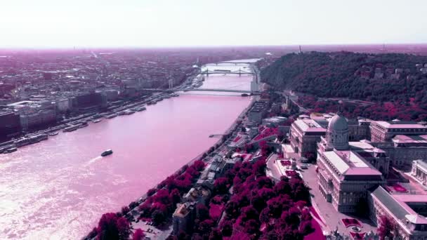 Budapest, Ungern-maj, 2019: Flygdrönarvy över Budapests historiska centrum med vacker arkitektur. — Stockvideo