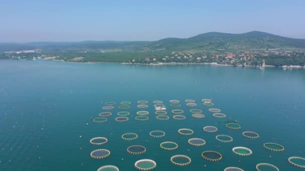 Equipo Pesca Orilla Del Mar Cerca Trieste Italia — Vídeos de Stock