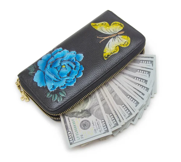 Woman Wallet Money Isolated White Background — Stock Photo, Image