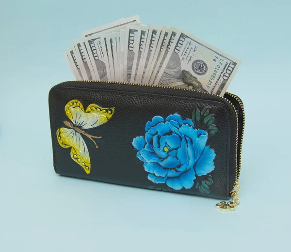 Woman wallet with money isolated on the blue background