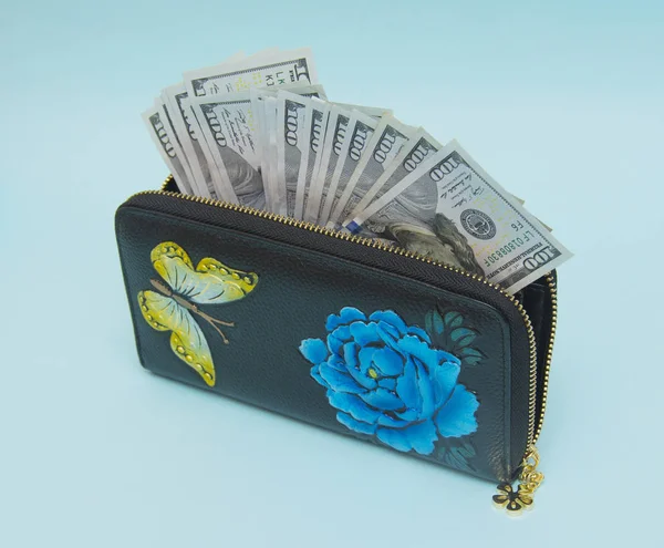 Woman Wallet Money Isolated Blue Background — Stock Photo, Image