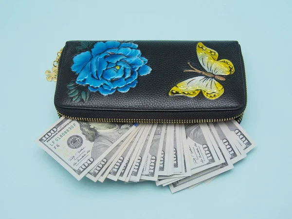 Woman wallet with money isolated on the blue background