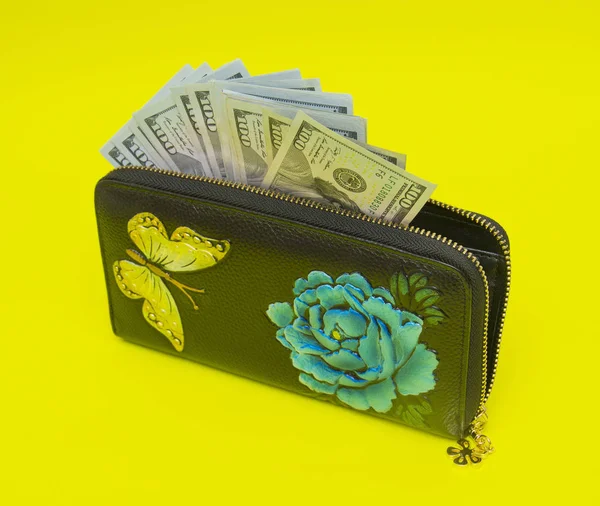 Woman Wallet Money Isolated Yellow Background — Stock Photo, Image