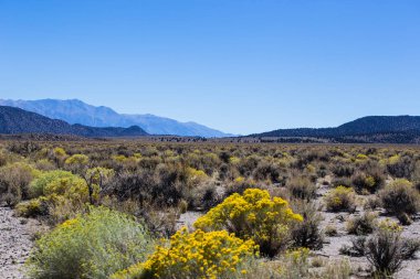Nevada Çölü yollar ve tepeler