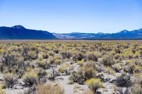 Nevada Çölü Yollar Tepeler — Stok fotoğraf