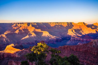 Büyük Kanyon Arizona Güney Rim