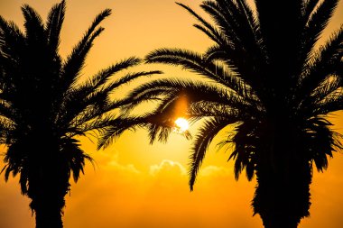 Günbatımı Kıbrıs Paphos denizde