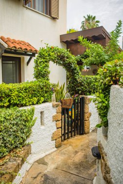 Paphos Kıbrıs bahçeleri