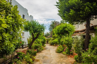 Paphos Kıbrıs bahçeleri