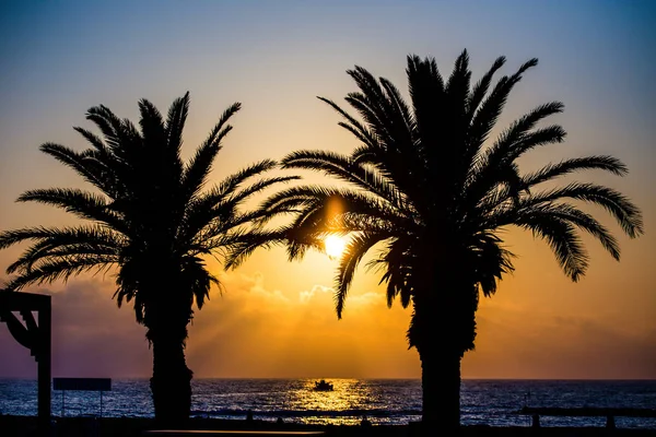 Couchers Soleil Mer Chypre Paphos — Photo