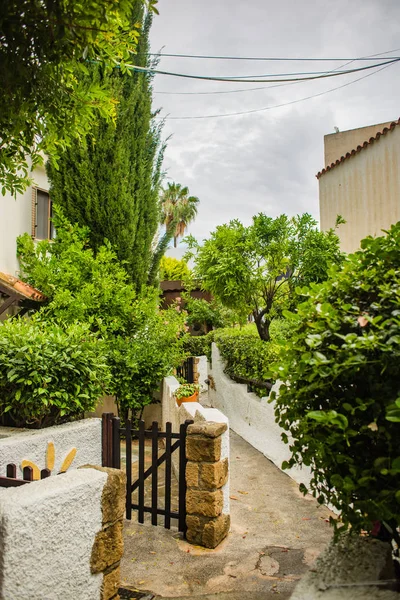 Gardens Pafos Cypr — Zdjęcie stockowe
