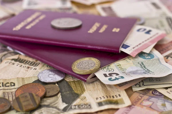 Foreign Passports Money Countries — Stock Photo, Image