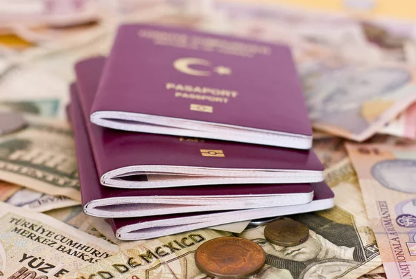 Foreign passports and money from European countries