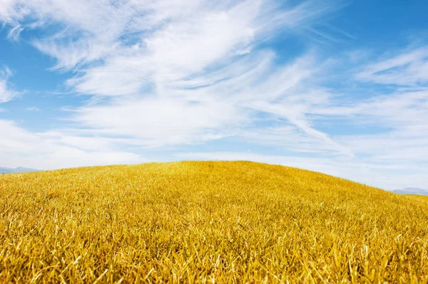 Autumn Landscape Yellow Field Meadow Blue Sky — Stock Photo, Image