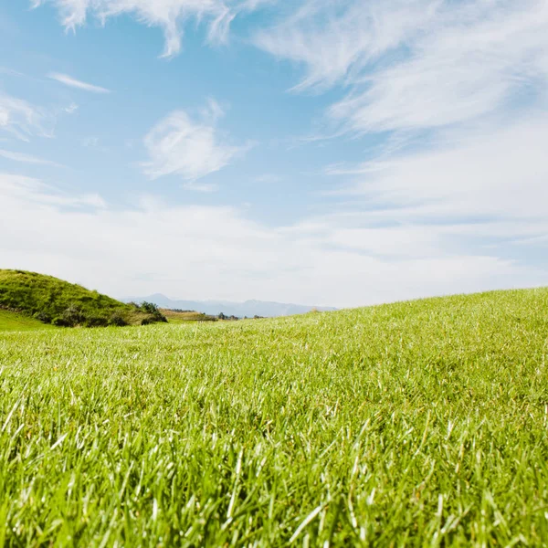 Autumn Landscape Yellow Field Meadow Blue Sky — Stock Photo, Image