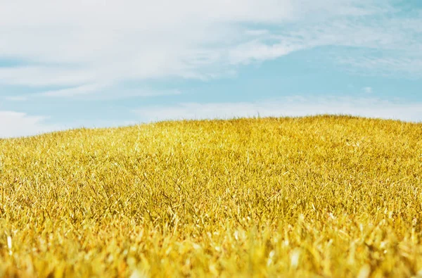 Autumn Landscape Yellow Field Meadow Blue Sky — Stock Photo, Image