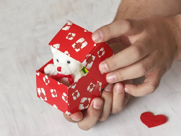 A man makes a proposal. Teddy bear in a red box with hearts as a gift