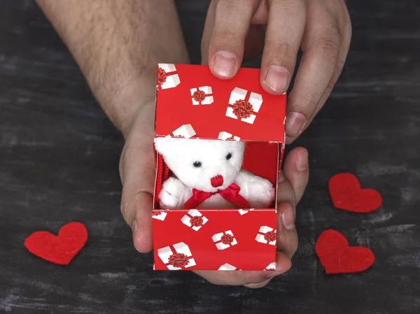 A man makes a proposal. Teddy bear in a red box with hearts as a gift