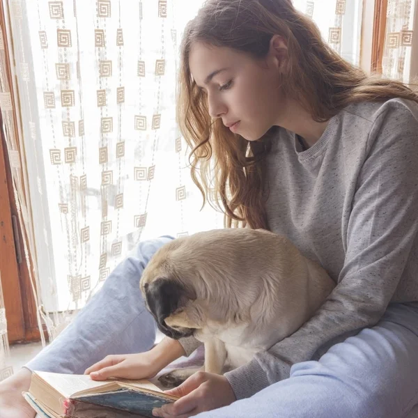 Красивая девушка с собакой-мопсом читает книгу у окна — стоковое фото
