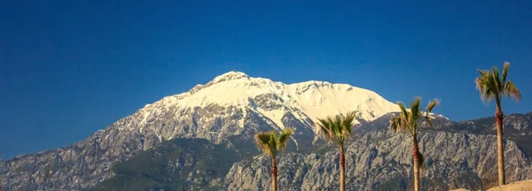 Snow-capped peak of mountains and palm trees against the blue sky. Banner — Stock Photo, Image