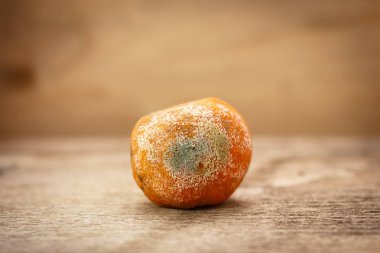 Ahşap masada bozulmuş küflü çürük mandalina