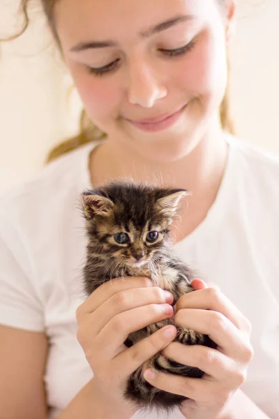 Очень маленький котенок в руках девушки . — стоковое фото