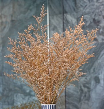 Sürahi ambar arka planda kuru çiçek.