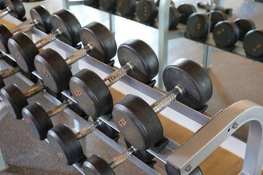 Metal halter salonunda raf üzerinde satırları / spor kulübü. Ağırlık antrenmanı ekipmanı.