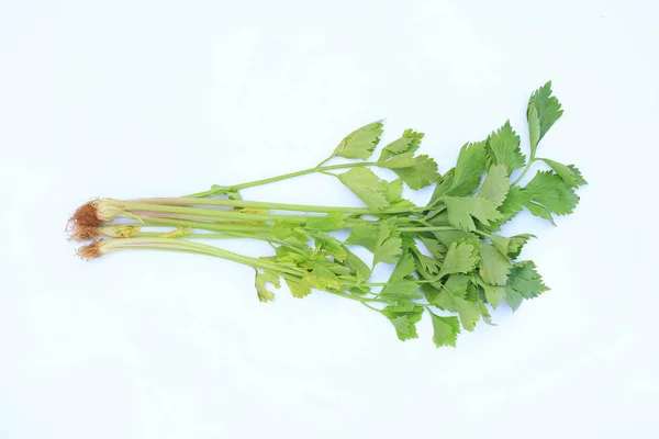 Fresh Celery Isolated White Background — Stock Photo, Image