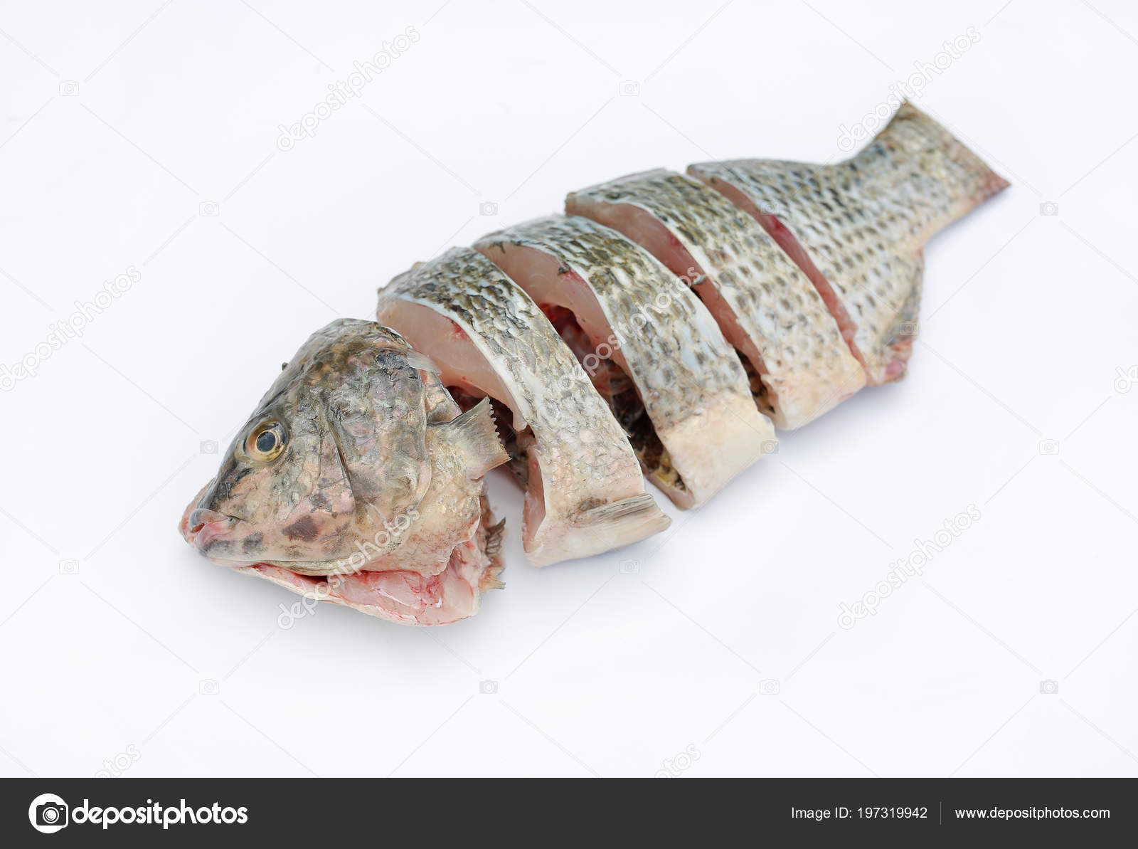 Sliced Nile Tilapia Fish White Background Stock Photo Sliced Nile Tilapia Fish White Background Stock Photo